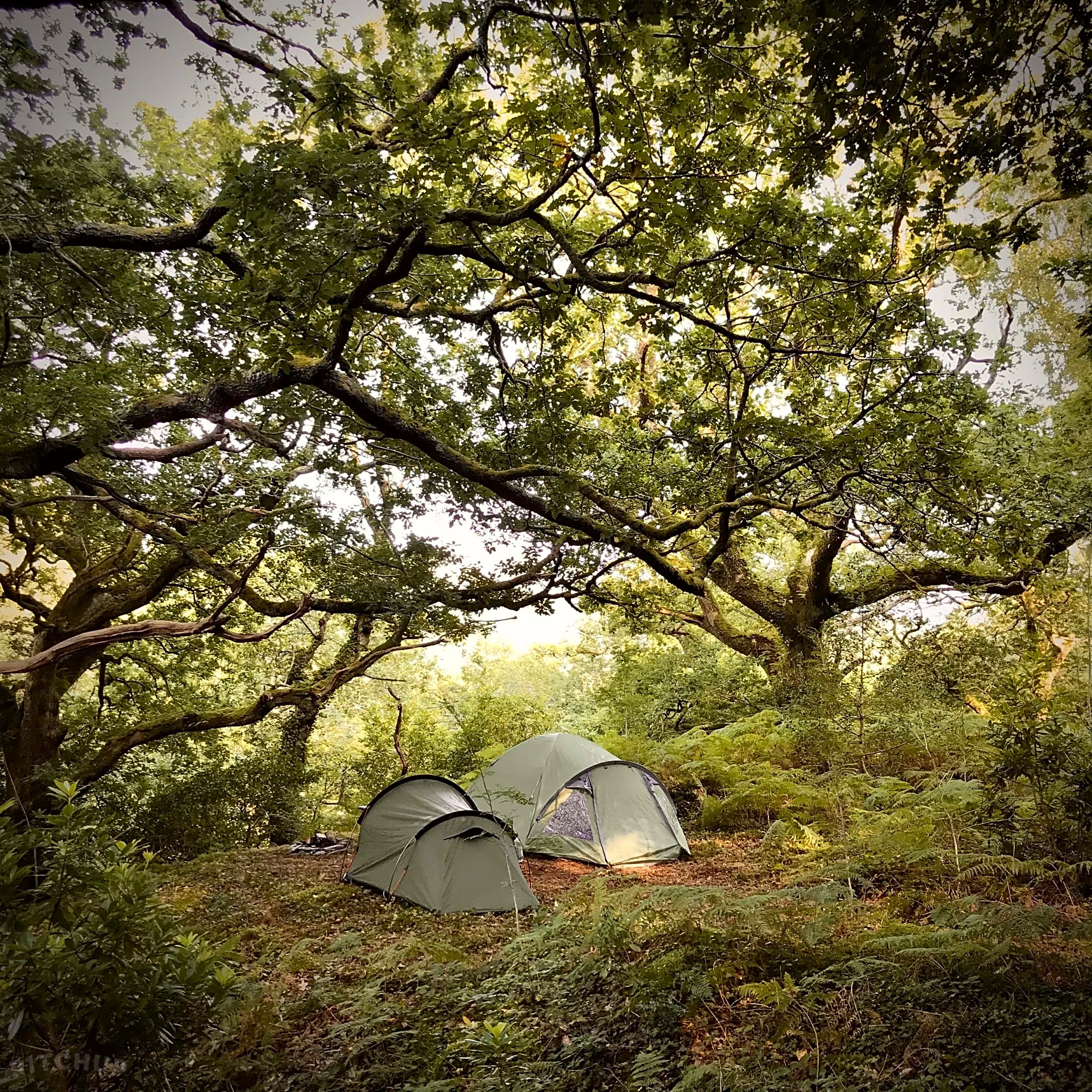 Wild Camping
